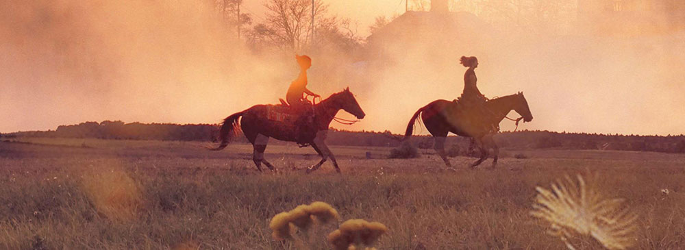 Check out the Food & Hospitality category on our all-Canadian Local Business Portal online business directory as promoted by Connect Toronto.