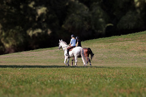 Advertise your Torotono area outdoor activities to locals and tourists alike.