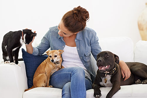 Showcase your Pet Sitting business to local Vancouver area customers.