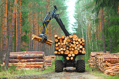 Showcase your forestry construction business to Toronto and surrounding area customers.
